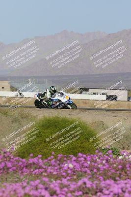 media/Feb-04-2023-SoCal Trackdays (Sat) [[8a776bf2c3]]/Turn 15 Inside Blooming (1050am)/